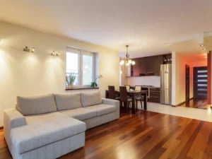 Modern living area with a cozy couch
