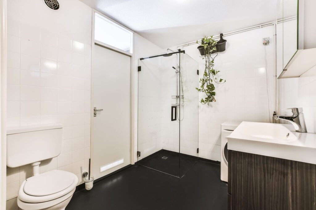 Modern white bathroom with glass shower, hanging plant